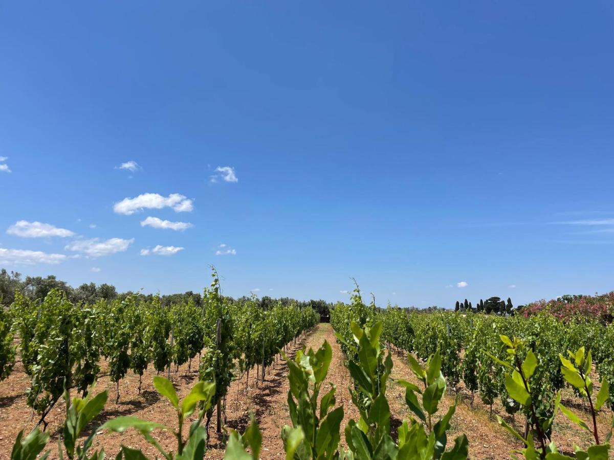 Agriturismo Terra Rossa Otranto Exteriér fotografie