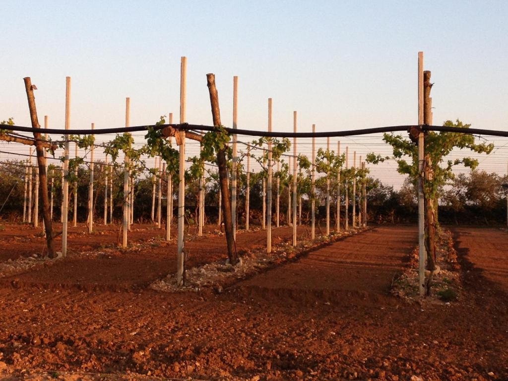 Agriturismo Terra Rossa Otranto Exteriér fotografie