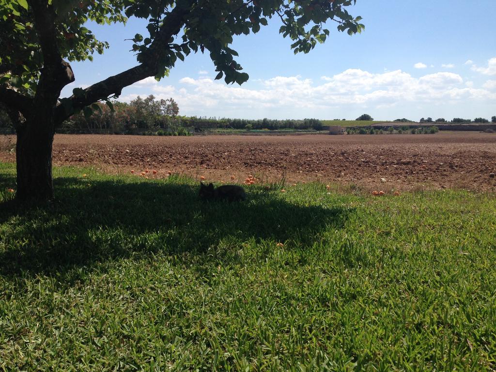 Agriturismo Terra Rossa Otranto Exteriér fotografie