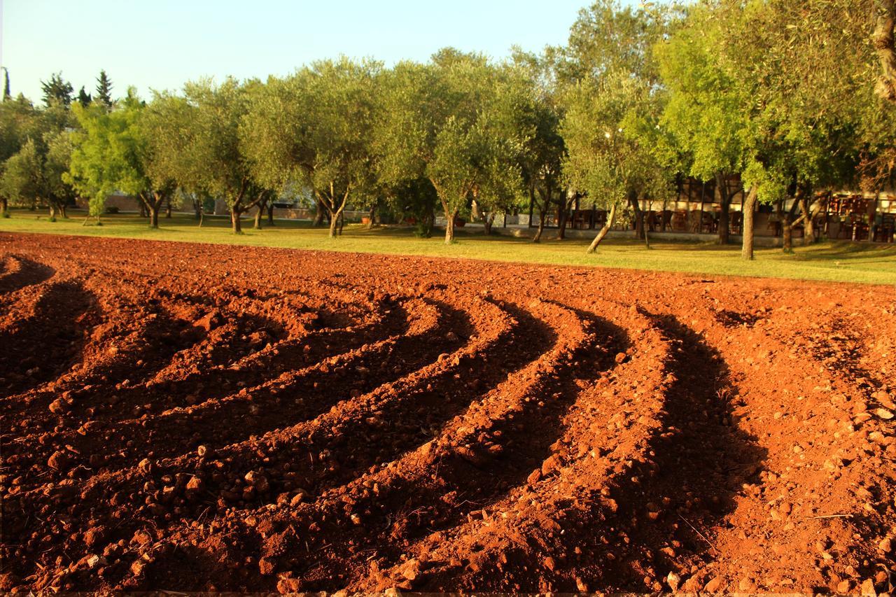 Agriturismo Terra Rossa Otranto Exteriér fotografie